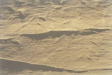 mcmurdo abstract 2