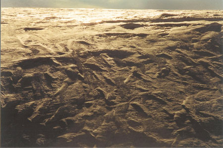 mcmurdo abstract