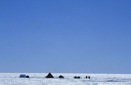 seismic camp