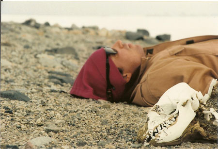 dead seal with jamie